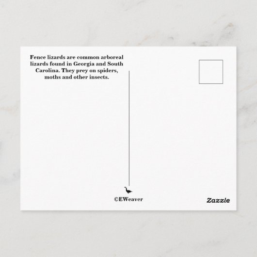Eastern Fence Lizard Sc Wildlife Postkarte (Rückseite)