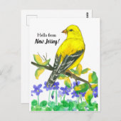 Eastern Goldfinch Bird Hallo aus New Jersey Postkarte (Vorne/Hinten)