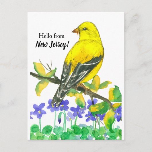 Eastern Goldfinch Bird Hallo aus New Jersey Postkarte (Vorderseite)