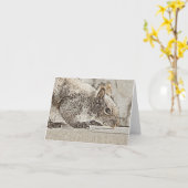 Eastern Gray Eichhörnchen - Blank Card Karte (Gelbe Blume)