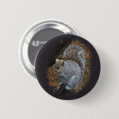 Eastern Gray Eichhörnchen - Sciurus carolinensis Button (Vorne & Hinten)
