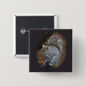 Eastern Gray Eichhörnchen - Sciurus carolinensis Button (Vorne & Hinten)
