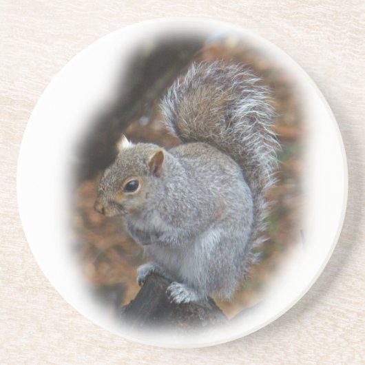 Eastern Gray Eichhörnchen - Sciurus carolinensis Getränkeuntersetzer (Vorne)