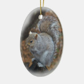Eastern Gray Eichhörnchen - Sciurus carolinensis Keramik Ornament (Links)