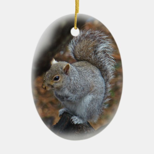 Eastern Gray Eichhörnchen - Sciurus carolinensis Keramik Ornament (Vorne)