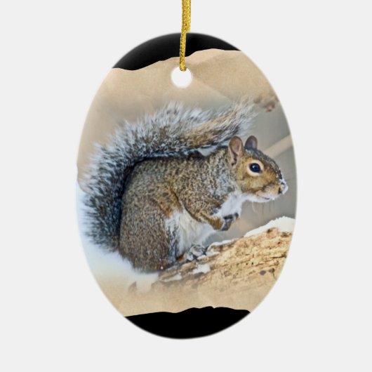 Eastern Gray Eichhörnchen - Sciurus carolinensis Keramik Ornament (Vorne)