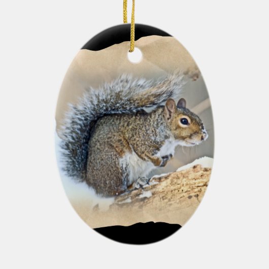 Eastern Gray Eichhörnchen - Sciurus carolinensis Keramik Ornament (Hinten)