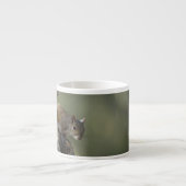 Eastern Gray Squirrel, or grey squirrel Espressotasse (Vorderseite)