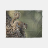 Eastern Gray Squirrel, or grey squirrel Fleecedecke (Vorderseite (Horizontal))