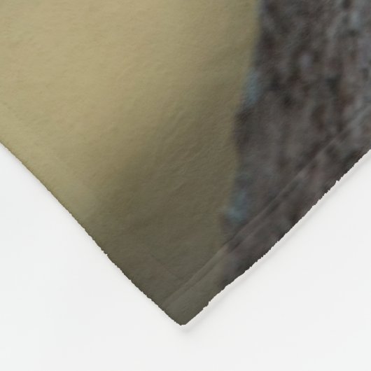 Eastern Gray Squirrel, or grey squirrel Fleecedecke (Ecke)