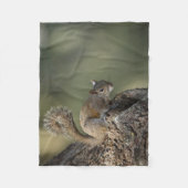 Eastern Gray Squirrel, or grey squirrel Fleecedecke (Vorderseite)