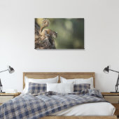 Eastern Gray Squirrel, or grey squirrel Leinwanddruck (Insitu (Schlafzimmer))