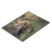 Eastern Gray Squirrel, or grey squirrel Notizblock (Linke Seite)