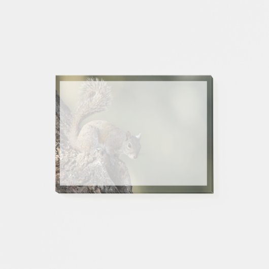 Eastern Gray Squirrel, or grey squirrel Post-it Klebezettel (Vorderseite)