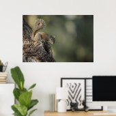 Eastern Gray Squirrel, or grey squirrel Poster (Heimbüro)