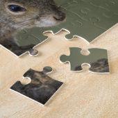 Eastern Gray Squirrel, or grey squirrel Puzzle (Seite)