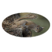 Eastern Gray Squirrel, or grey squirrel Schneidebrett (Ecke)