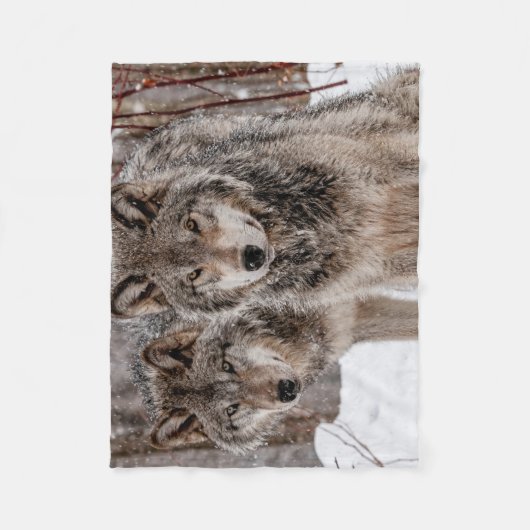 Eastern Gray Wolf  Fleecedecke (Vorderseite)
