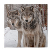 Eastern Gray Wolf Fliese (Vorderseite)