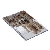 Eastern Gray Wolf Notizblock (Rechte Seite)