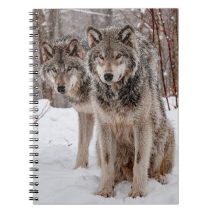 Eastern Gray Wolf Notizblock