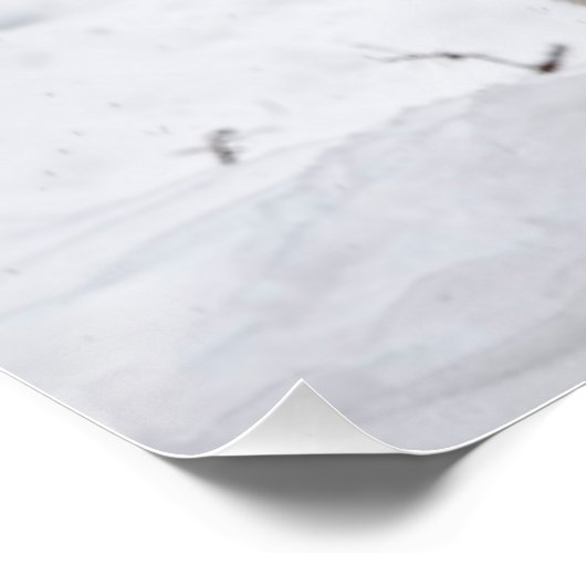 Eastern Gray Wolf Poster (Ecke)