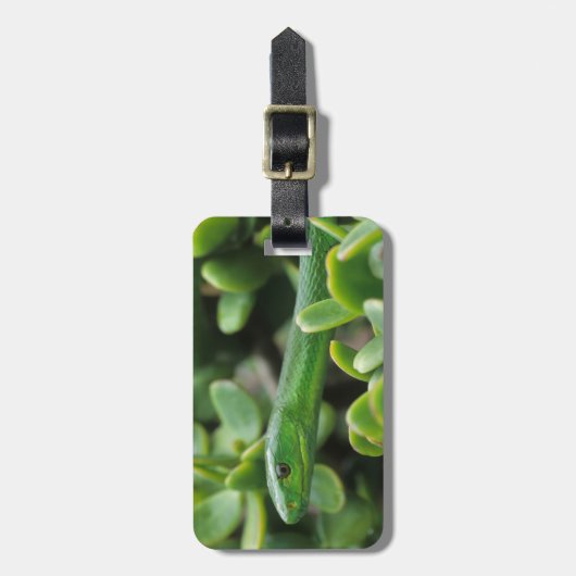 Eastern Green Mamba (Dendroaspis Angusticeps) Gepäckanhänger (Vorderseite vertikal)