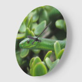 Eastern Green Mamba (Dendroaspis Angusticeps) Große Wanduhr (Winkel)