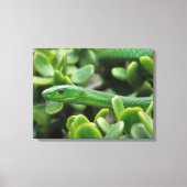 Eastern Green Mamba (Dendroaspis Angusticeps) Leinwanddruck (Vorderseite)