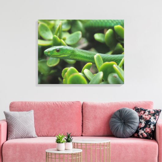 Eastern Green Mamba (Dendroaspis Angusticeps) Leinwanddruck (Insitu (Wohnzimmer))