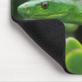 Eastern Green Mamba (Dendroaspis Angusticeps) Mousepad (Ecke)