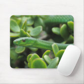 Eastern Green Mamba (Dendroaspis Angusticeps) Mousepad (Mit Mouse)