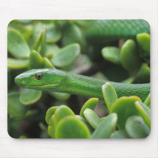 Eastern Green Mamba (Dendroaspis Angusticeps) Mousepad (Vorne)