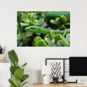 Eastern Green Mamba (Dendroaspis Angusticeps) Poster (Heimbüro)