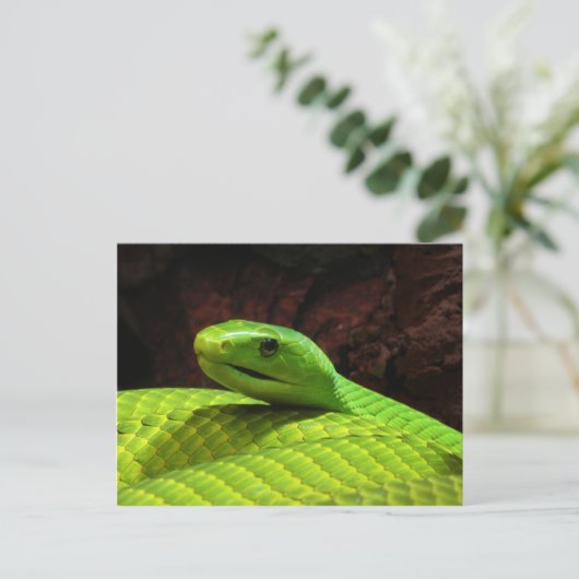 Eastern Green Mamba Dendroaspis Angusticeps Postkarte (Stehend Vorderseite)