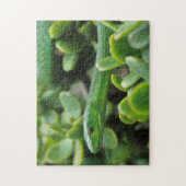 Eastern Green Mamba (Dendroaspis Angusticeps) Puzzle (Vertikal)