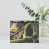 Eastern Green Mamba Postkarte (Stehend Vorderseite)