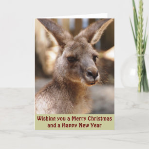 Eastern Grey Kangaroo Xmas Card Feiertagskarte