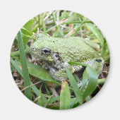 Eastern Grey Treefrog Nature Photography Magnet (Vorne)