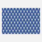 Eastern Illinois Panthers Paw Print & EIU Geschenkpapier Set (Vorderseite 2)