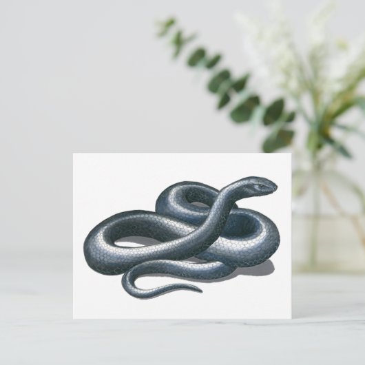 Eastern Indigo Snake Postcard Postkarte (Stehend Vorderseite)