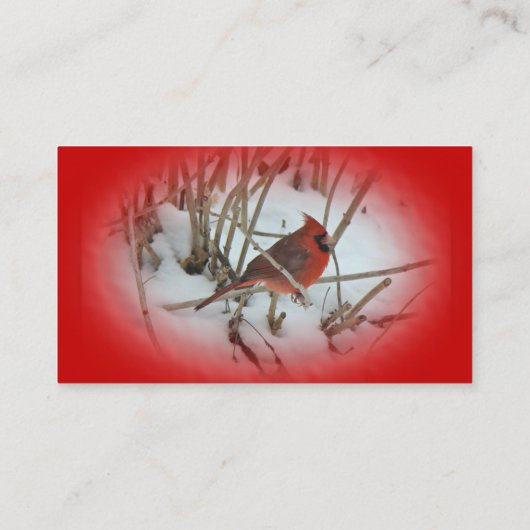 Eastern Kardinal Songbird Business Card Visitenkarte (Rückseite)