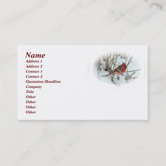 Eastern Kardinal Songbird Business Card Visitenkarte (Vorderseite)
