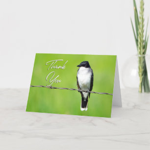 Eastern King Bird Foto Danke, Card Dankeskarte
