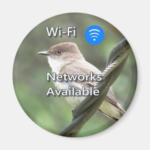 Eastern Phoebe Wi-Fi-Magnet Magnet