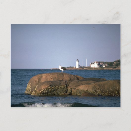 Eastern Point Leuchtturm, Gloucester, Massachusett Postkarte (Vorderseite)