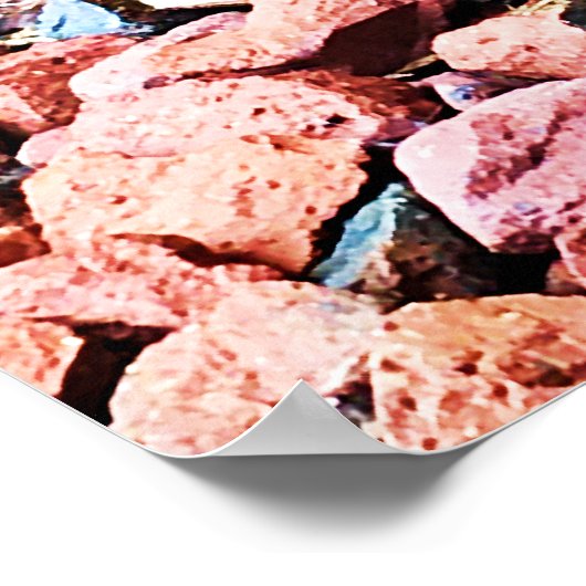 Eastern Rat Snake Poster (Ecke)