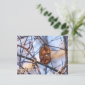 Eastern Red Bat Postkarte (Stehend Vorderseite)