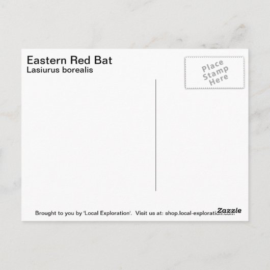 Eastern Red Bat Postkarte (Rückseite)