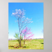 Eastern Redbud steht neben Eastern Redcedar Poster (Vorne)